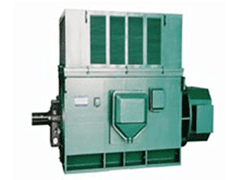 Y5002-4YR高压三相异步电机