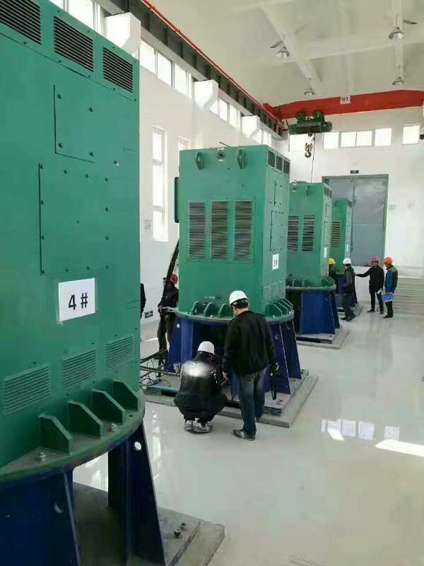Y5002-4某污水处理厂使用我厂的立式高压电机安装现场