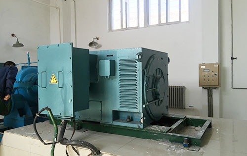 Y5002-4某水电站工程主水泵使用我公司高压电机