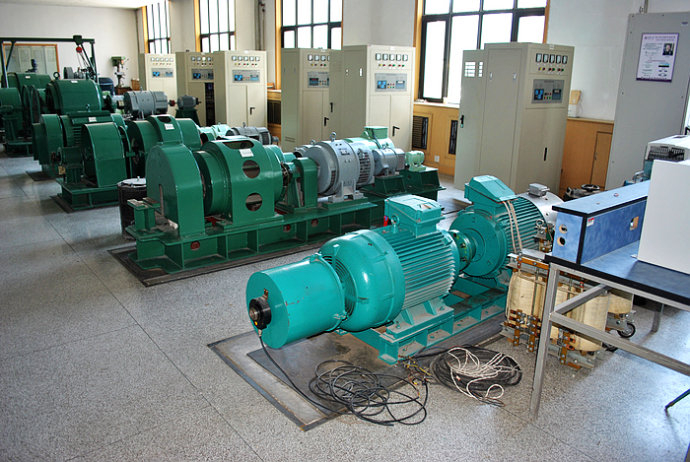 Y5002-4某热电厂使用我厂的YKK高压电机提供动力