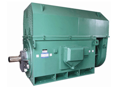 Y5002-4Y系列6KV高压电机