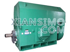 Y5002-4YXKK(2极)高效高压电机技术参数