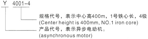 西安泰富西玛Y系列(H355-1000)高压Y5002-4三相异步电机型号说明