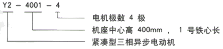 YR系列(H355-1000)高压Y5002-4三相异步电机西安西玛电机型号说明